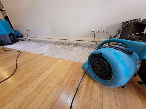 Professional Ceiling Water Damage Repair technician working in Caratunk, ME